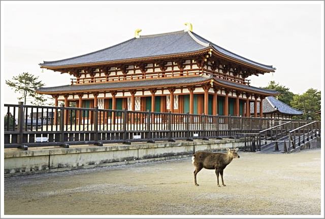 冬休み家族旅行の宿をやっと確定。子ども達の予定の合間をぬって決行します