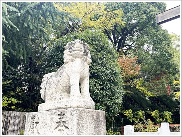 神社で気持ちを「整える」。清々しい気持ちになれる身近なパワースポットです