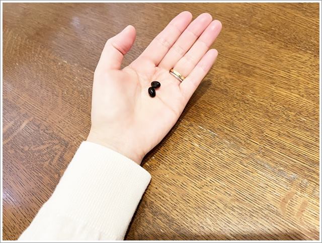 DHCのブルーベリーエキスのサプリメント