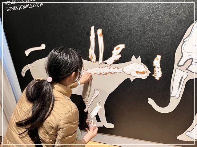 ヘルシンキ自然史博物館で遊ぶ娘