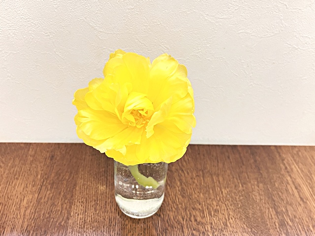 【予定を入れすぎて疲れ気味に】自分のペースが大切