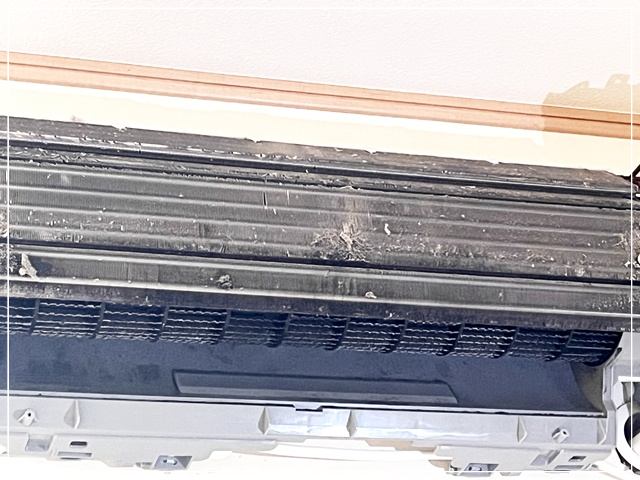 洗浄前のエアコン内部